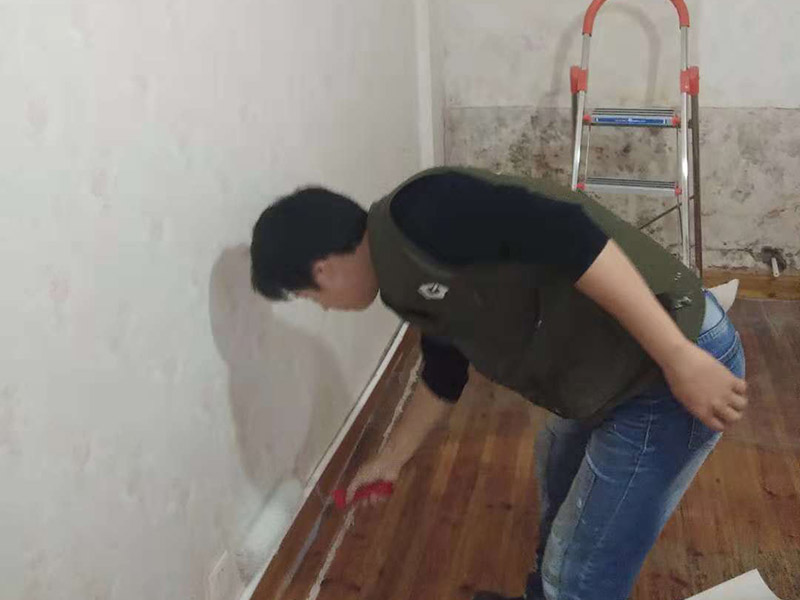 墻面滾漆：毛坯的墻體或者已經(jīng)做好1道膩子層的房子，基層要求基層必須平整堅固。不得有粉化、起砂、空鼓、脫落等現(xiàn)象?；鶎硬黄胶涂油菝鎽?yīng)該配套膩子刮平。陰陽角必須通過彈墨線來找垂直的鋁通來衡量水平垂直的整度。后一遍膩子應(yīng)在前一遍膩子完全干后方能施工。 刮膩子后，總有些高低不平，或者基層不是很平整的面。這個時候，需要砂紙出動，進行手工的打磨，修復(fù)。中間還可以用太陽燈照明，便于檢查平整度。再用砂紙打磨，不斷的完善。最后就可以進行滾的作業(yè)，相對而言，這是性價比較高的施工方式。輥涂時，為避免輥子痕跡，搭接寬度為毛輥長度的1/4，一般輥涂兩遍，夏季其間隔應(yīng)2小時以上，冬季可能需要多點時間。