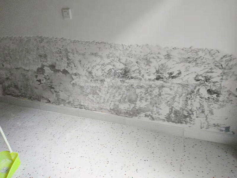 墻面局部鏟除防水：1、清理墻面：以鏟刀清除墻面已松動(dòng)的膩?zhàn)訉?。用鏟刀無(wú)法清除的膩?zhàn)訉樱梢杂眯″N子輕輕敲擊，如果沒(méi)有空鼓的聲音，并且敲后仍不松動(dòng)的地方可以保留原有的基層。 2、清洗墻面：用清潔水或洗滌靈將表面的浮塵、油污進(jìn)行徹底清洗干凈，然后用高壓水槍進(jìn)行徹底沖洗，清除已粉化的涂層。 3、修補(bǔ)墻面： （1）基層起皮的處理方法：鋼絲刷刷掉起皮的涂料面層，刷界面劑，重新進(jìn)行涂料施工。 （2）基層裂縫的處理方法：開(kāi)V型槽，掛抗堿玻纖網(wǎng)格布，水泥砂漿抹面，批刮柔性膩?zhàn)?，進(jìn)行涂料施工。 （3）基層空鼓的處理方法：云石機(jī)切出空鼓的墻面，薄而多遍的水泥砂漿抹面，達(dá)到原有墻面的高度，刷界面劑，然后進(jìn)行涂料施工。