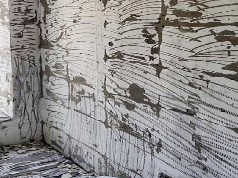 廁所改造拆除裝修：衛(wèi)生間的格局或是衛(wèi)浴設(shè)施、地磚、墻磚等地方不滿意，但在改造之前你需要將這些不滿意的地方進行拆除，且拆除之后的垃圾也要及時清理，避免阻礙施工進程。將不需要或是不滿意的地方進行拆除后，留下的成品需要進行施工保護，防止磕碰到，還可防止被上面的重物或是棱角碰壞。 水電改造可謂是改造衛(wèi)生間的重點，衛(wèi)生間原有的水電路管線往往有許多不合理的布局，所以在改造過程中要對原有的水電路進行徹查，看是否存在銹蝕、老化等情況，若有，則需要更換新的電路、水路，如果線路良好，且沒有多大的問題，則只需要添加刪減線路