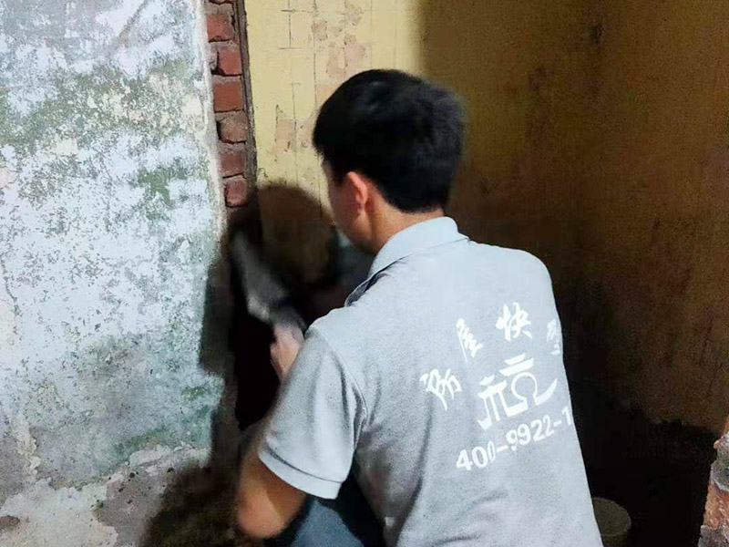 墻面抹水泥找平:步驟一：清理墻面；把墻面起皮和裂縫位置處理干凈，并用水泥砂漿補抹好，把殘留的灰渣鏟除干凈，然后把墻面清理干凈。需要注意的是：如果墻面吸水性比較強，要先用清水濕潤或是噴刷膠水做封底處理。  步驟二：第一遍刮膩子；水泥抹面的墻面最好配制底料，不僅能降低工程造價，還可以提高施工的質(zhì)量。 步驟三：第二遍刮膩子；第一遍墻體干透后，可以上第二遍膩子進一步刮平。但是第二遍的膩子調(diào)兌不易過稀，它的含水量別過大，要保證第二遍膩子刮涂后的水分盡快被第一遍的膩子吸收，只有等到墻面水分減少到一定程度后方才可進