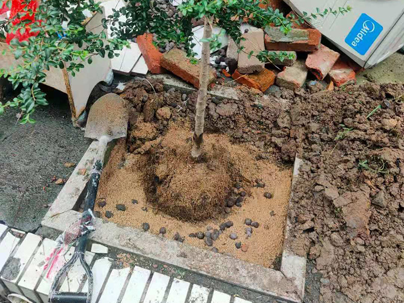 庭院植物底部防水：找到本來的防水層，由于防水層不是顯露的，是在面層下部，有必要將面層進(jìn)行悉數(shù)根除，找到本來的防水層。將原防水層根除以后，找平，將本來下部保溫層里存的水進(jìn)行排干，設(shè)一些排氣孔做排氣辦法，將保溫層里的水分排干。做完防水層以后，必定要做找坡處理，不要形成屋面部分存水，通常設(shè)置水泥砂漿找平找坡，找坡的斜度不小于3%。再進(jìn)行閉水實(shí)驗(yàn)，不漏水為合格，再進(jìn)行康復(fù)上面的維護(hù)及鋪貼面磚裝修。