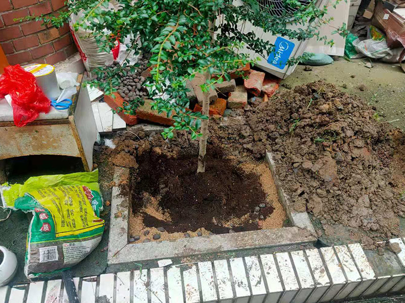 庭院植物底部防水：找到本來的防水層，由于防水層不是顯露的，是在面層下部，有必要將面層進(jìn)行悉數(shù)根除，找到本來的防水層。將原防水層根除以后，找平，將本來下部保溫層里存的水進(jìn)行排干，設(shè)一些排氣孔做排氣辦法，將保溫層里的水分排干。做完防水層以后，必定要做找坡處理，不要形成屋面部分存水，通常設(shè)置水泥砂漿找平找坡，找坡的斜度不小于3%。再進(jìn)行閉水實(shí)驗(yàn)，不漏水為合格，再進(jìn)行康復(fù)上面的維護(hù)及鋪貼面磚裝修。