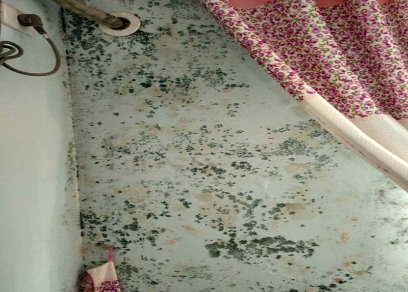 墻壁發(fā)霉怎么處理,墻壁發(fā)霉補(bǔ)救方法,墻壁發(fā)霉維修技巧
